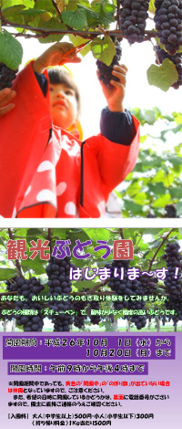 2014年10月1日から青森県鶴田町のスチューベンの観光ぶどう園が開園します！