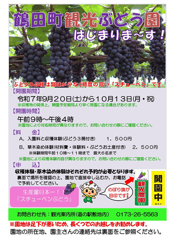 スチューベンぶどうの収穫体験・草木染め体験 チラシ
