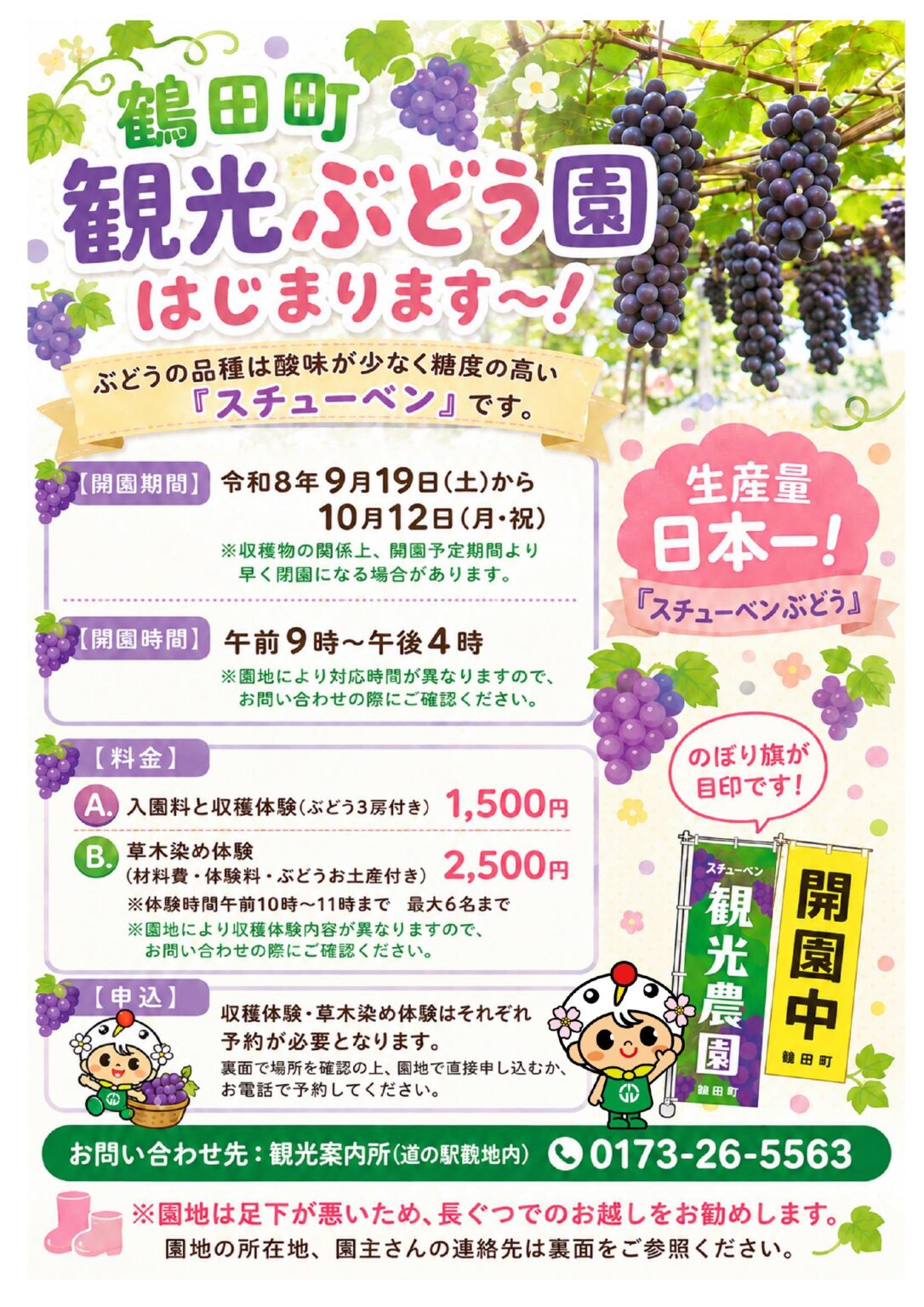 スチューベンぶどうの収穫体験・草木染め体験 チラシ